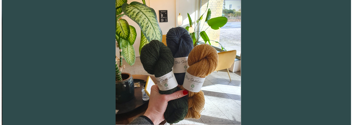Spot | Shetland GOTS 🧶 Strikke Pskegget 2025