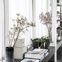 House Doctor, Carry Black Kurve